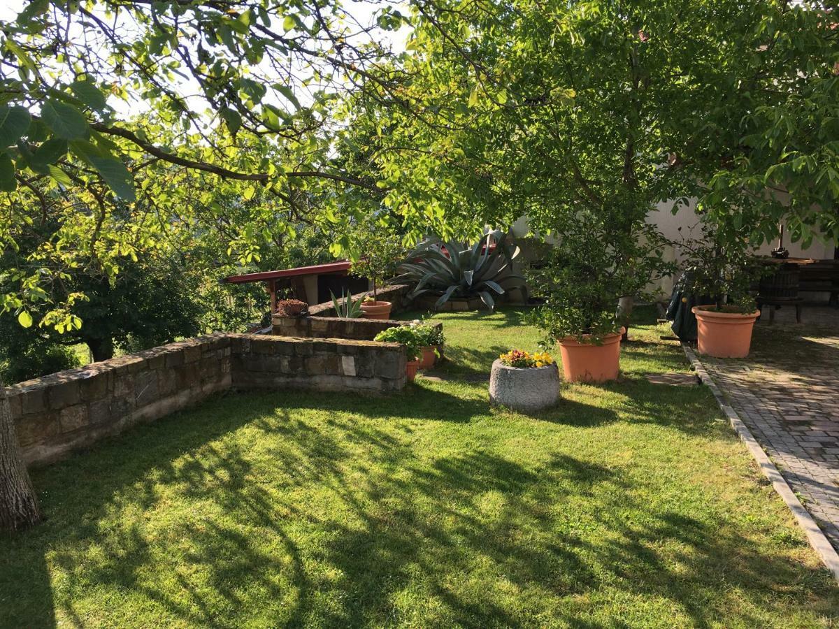 Apartments Klabjan Osp Екстериор снимка